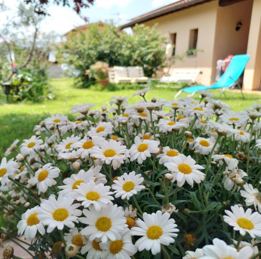 Bnb A La Maison Reggello Exterior photo